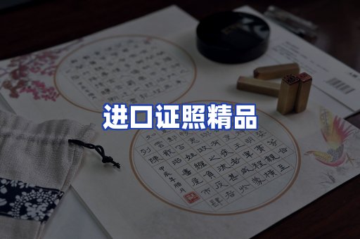 进口证件页面制证